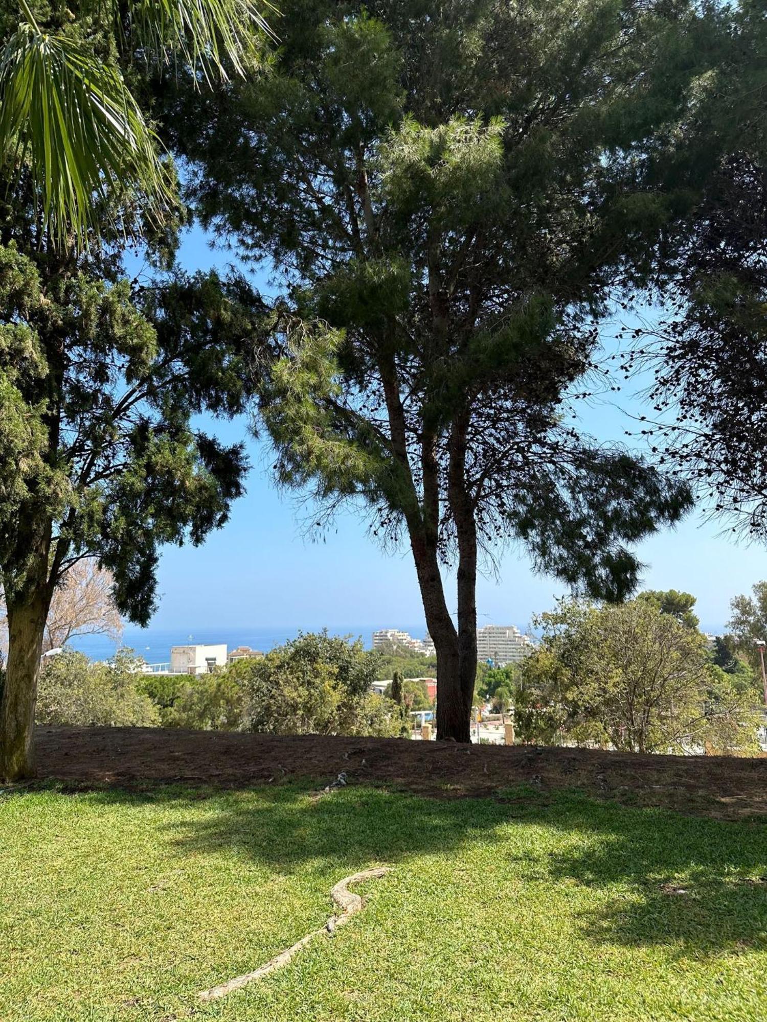Апартаменты Benalmadena Gamonal Малага Экстерьер фото